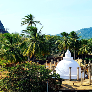 Sri Lanka Yoga & Cultural Pilgrimage