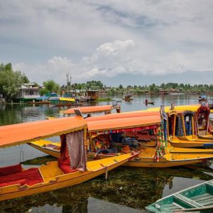 WhatsApp Image 2024-10-08 at 10.41.33 AM